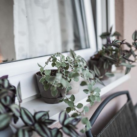 Apartman Centar Doboj Ngoại thất bức ảnh