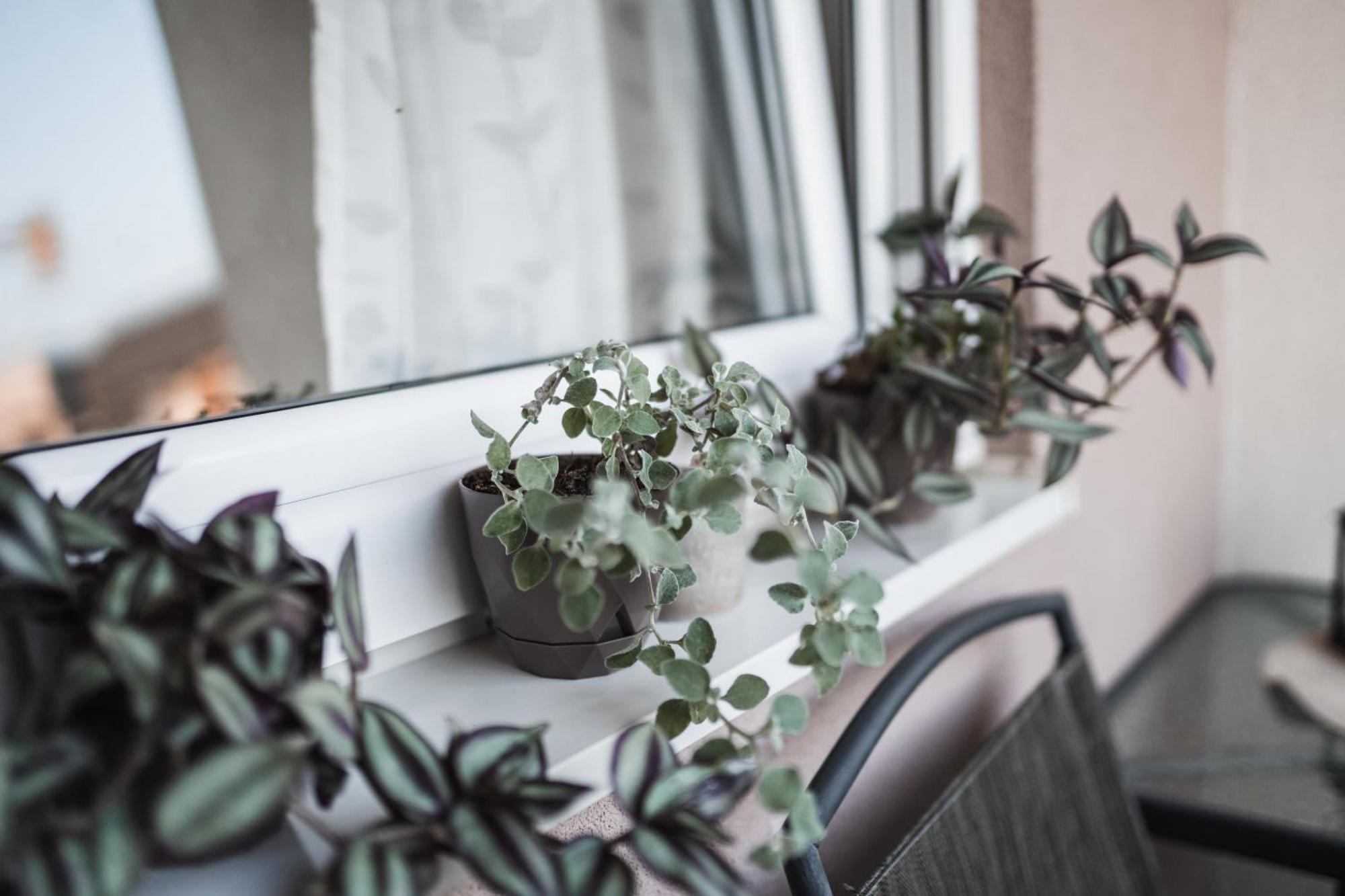 Apartman Centar Doboj Ngoại thất bức ảnh